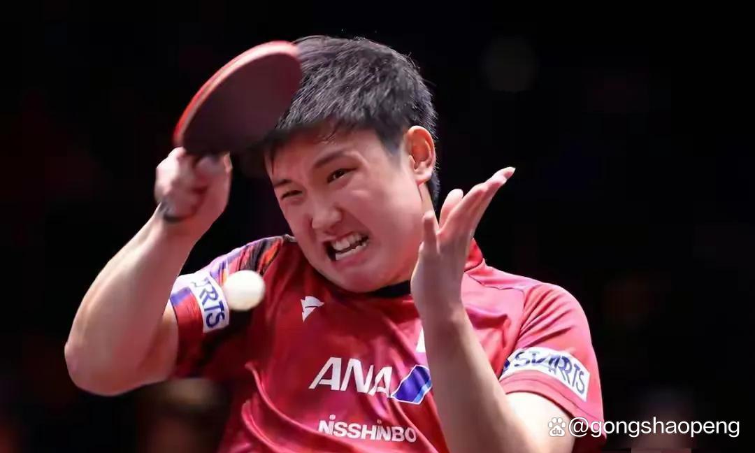 瑞典队轻取中国队，张本智和点燃赛场