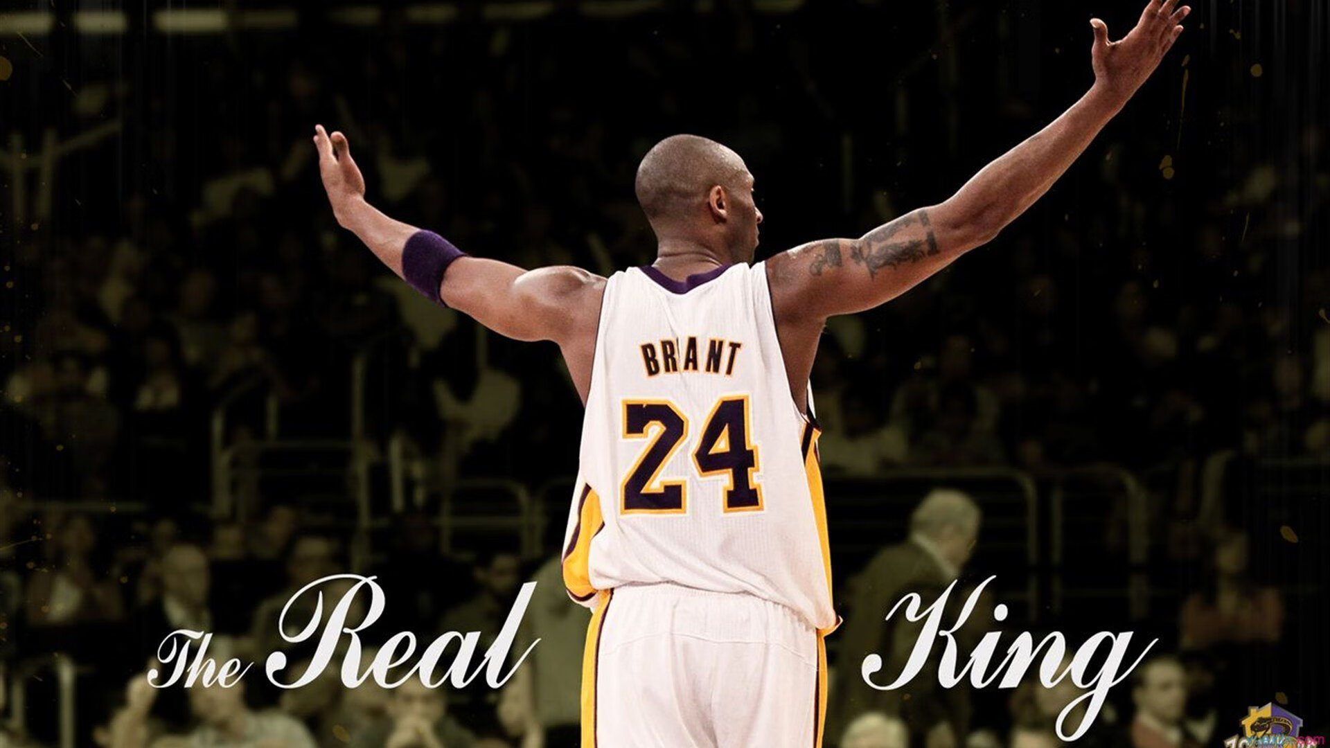 独行者的疆域，当辽宁队的魂嫁接于雄鹿之躯，莫兰特在东决之巅独舞